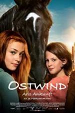Watch Windstorm 4: Ari\'s Arrival Putlocker