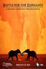 Watch Battle for the Elephants Putlocker