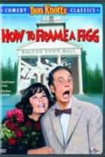 Watch How to Frame a Figg Putlocker