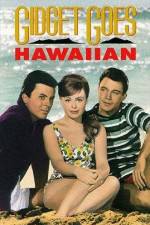 Watch Gidget Goes Hawaiian Putlocker