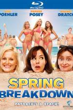 Watch Spring Breakdown Putlocker