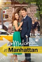 Watch A Match in Manhattan Putlocker
