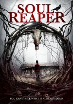 Watch Soul Reaper Putlocker