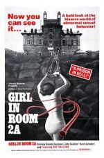 Watch The Girl in Room 2A Putlocker