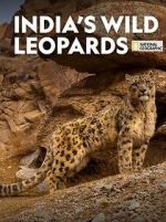 India\'s Wild Leopards (Short 2020) putlocker