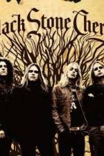 Watch Black Stone Cherry Live in Meridian, MS Putlocker