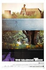 Watch The Learning Tree Putlocker