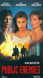 Watch Public Enemies Putlocker