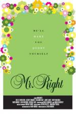 Watch Mr Right Putlocker