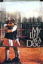 Watch My Life As A Dog Putlocker