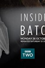 Watch Inside the Bat Cave Putlocker