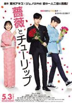Watch Rose and Tulip Putlocker