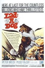 Watch Lad: A Dog Putlocker