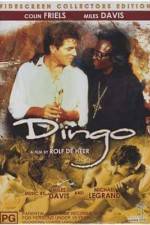 Watch Dingo Putlocker