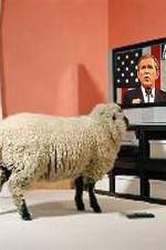 Watch Educating The Sheeple Putlocker
