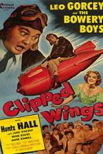 Watch Clipped Wings Putlocker