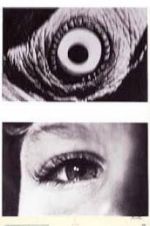Watch The Searching Eye Putlocker