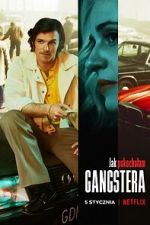Watch How I Fell in Love with a Gangster Putlocker