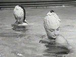 Watch Sirnes modernes (Short 1961) Putlocker