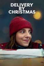 Delivery by Christmas putlocker