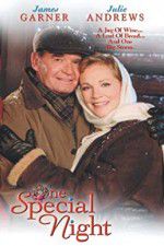 Watch One Special Night Putlocker