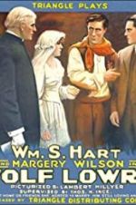 Watch Wolf Lowry Putlocker