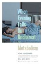 Watch Cnd se lasa seara peste Bucuresti sau metabolism Putlocker