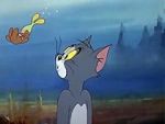 Watch The Cat and the Mermouse Putlocker