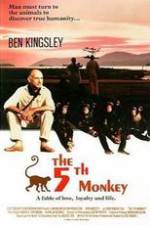 Watch O Quinto Macaco Putlocker