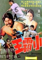 Watch Xiao ba wang Putlocker