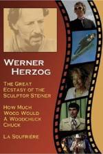 Watch Die groe Ekstase des Bildschnitzers Steiner Putlocker