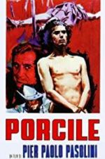 Watch Porcile Putlocker