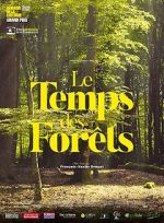 Watch The Time of Forests Putlocker