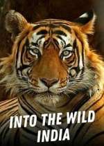 Watch Into the Wild India Putlocker