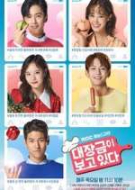 Watch Dae Jang Geum Is Watching Putlocker