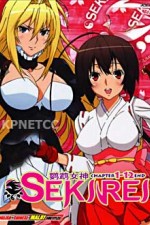 Watch Sekirei Putlocker