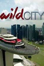 Watch Wild City Putlocker