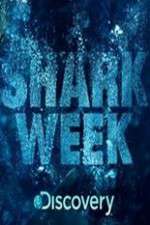 Watch Shark Week Putlocker