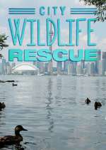 Watch City Wildlife Rescue Putlocker