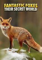 Watch Fantastic Foxes: Their Secret World Putlocker