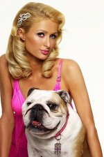 Watch Paris Hilton's British Best Friend Putlocker