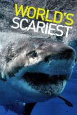 Watch World's Scariest... Putlocker