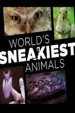 Watch World's Sneakiest Animals Putlocker