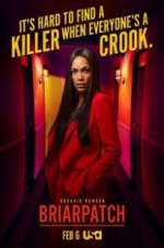 Watch Briarpatch Putlocker