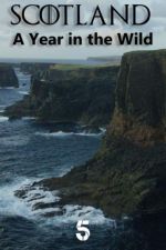 Watch Scotland: A Wild Year Putlocker