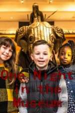 Watch One Night in the Museum Putlocker
