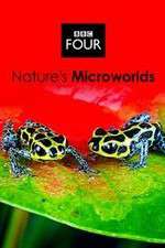 Watch Natures Microworlds Putlocker