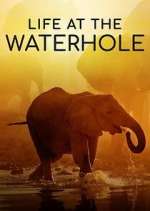 Watch Life at the Waterhole Putlocker