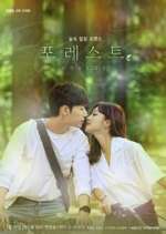 Watch Forest Putlocker