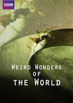 Watch Weird Wonders of the World Putlocker
